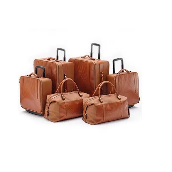 Aston Martin DBX 6-Piece Luggage Set