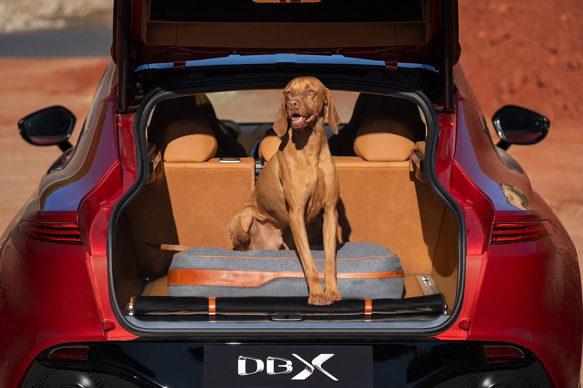 Aston Martin DBX Dog Bed